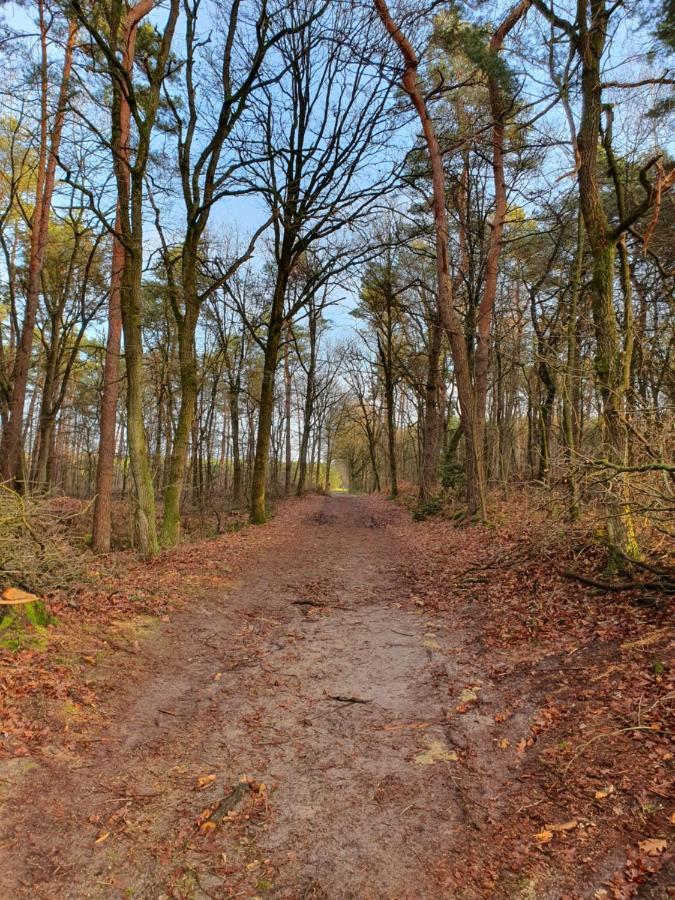 B&B De Nieuwenhof 'De Voorkamer' Melderslo Exteriér fotografie