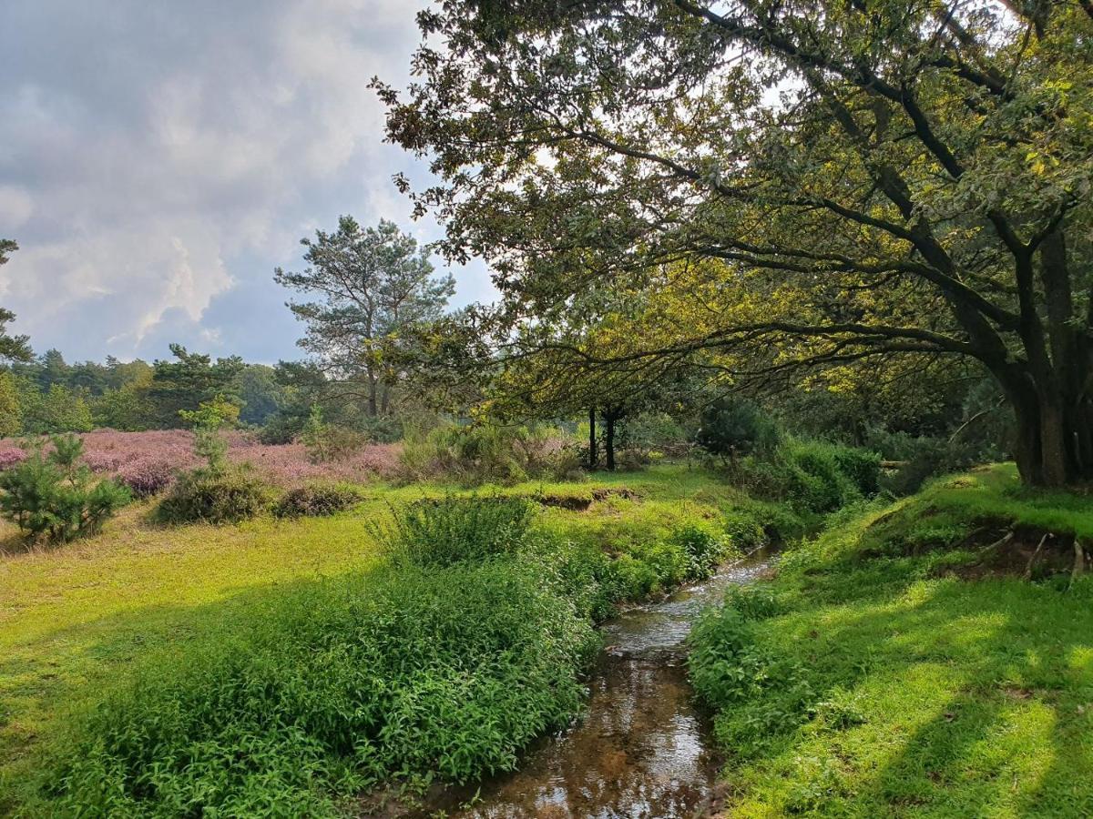 B&B De Nieuwenhof 'De Voorkamer' Melderslo Exteriér fotografie